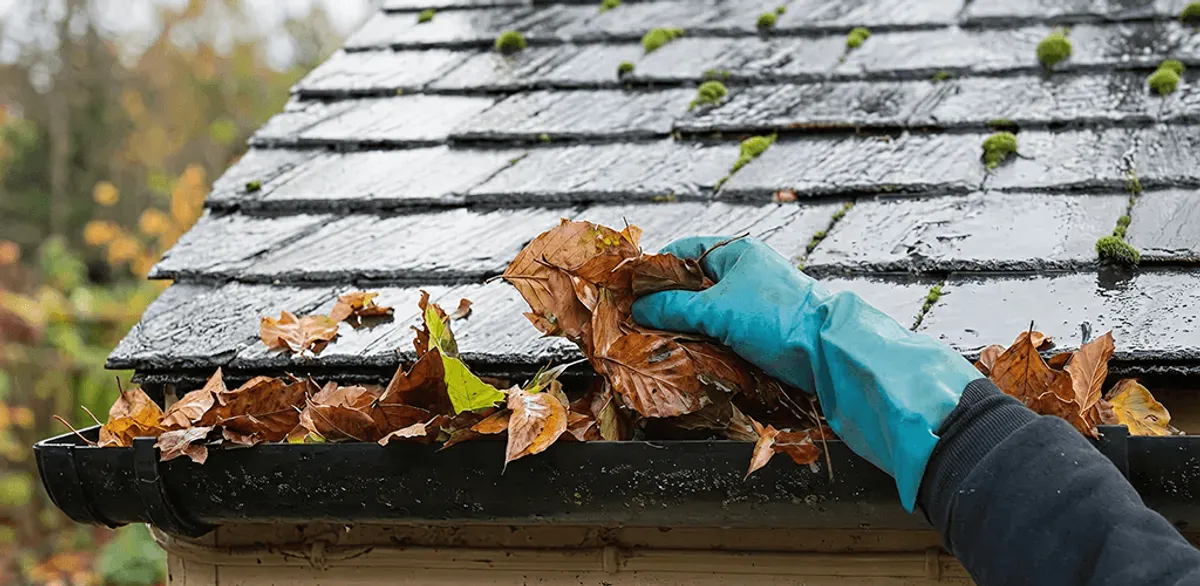 Gutter cleaning technician clearing wet leaves from roof gutters in Houston, TX